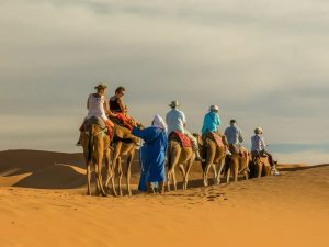 merzouga to marrakech